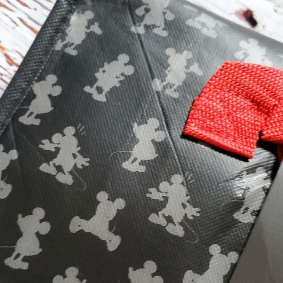 🆕️ Cute Disney Insulated Tote Bag (MICKEY OR PRINCESS) - Picture 4 of 11